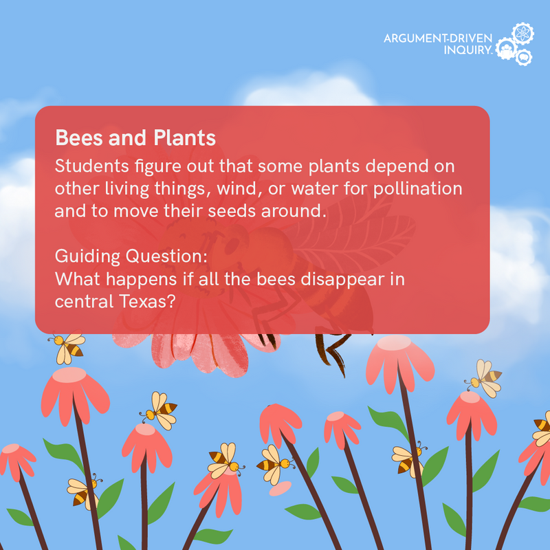 Bees and Plants Investigation Kit