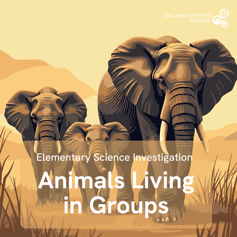 Animals Living in Groups Investigation Kit