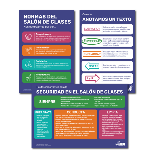 Classroom Foundations ADI Poster Set (Spanish)