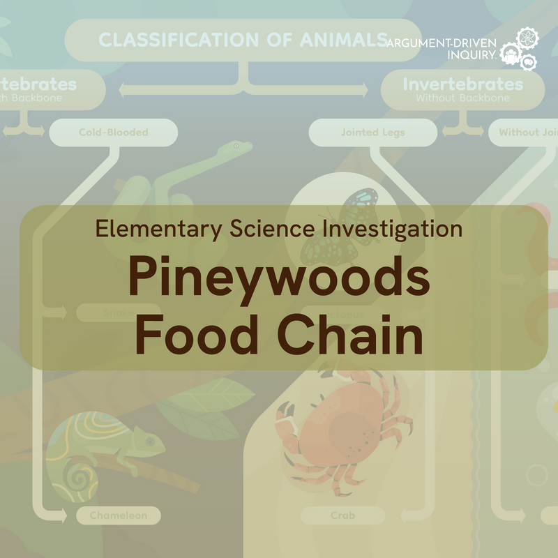Pineywoods Food Chain Investigation Kit