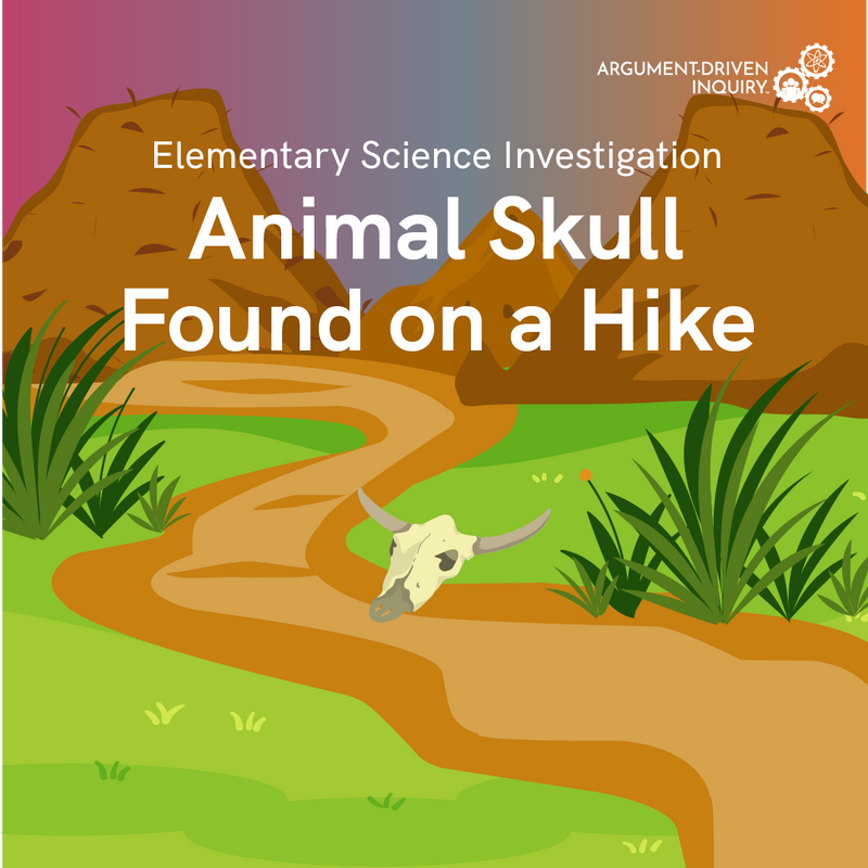 Animal Skull Found on a Hike Investigation Kit