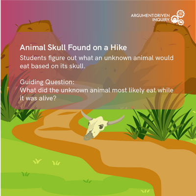 Animal Skull Found on a Hike Investigation Kit