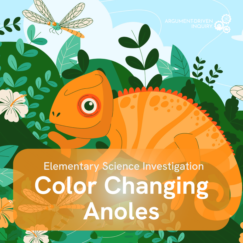 Color Changing Anole Investigation Kit