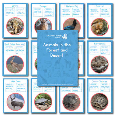 Animals in the Forest and Desert Investigation Kit