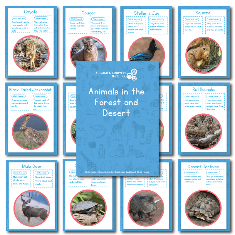 Animals in the Forest and Desert Investigation Kit