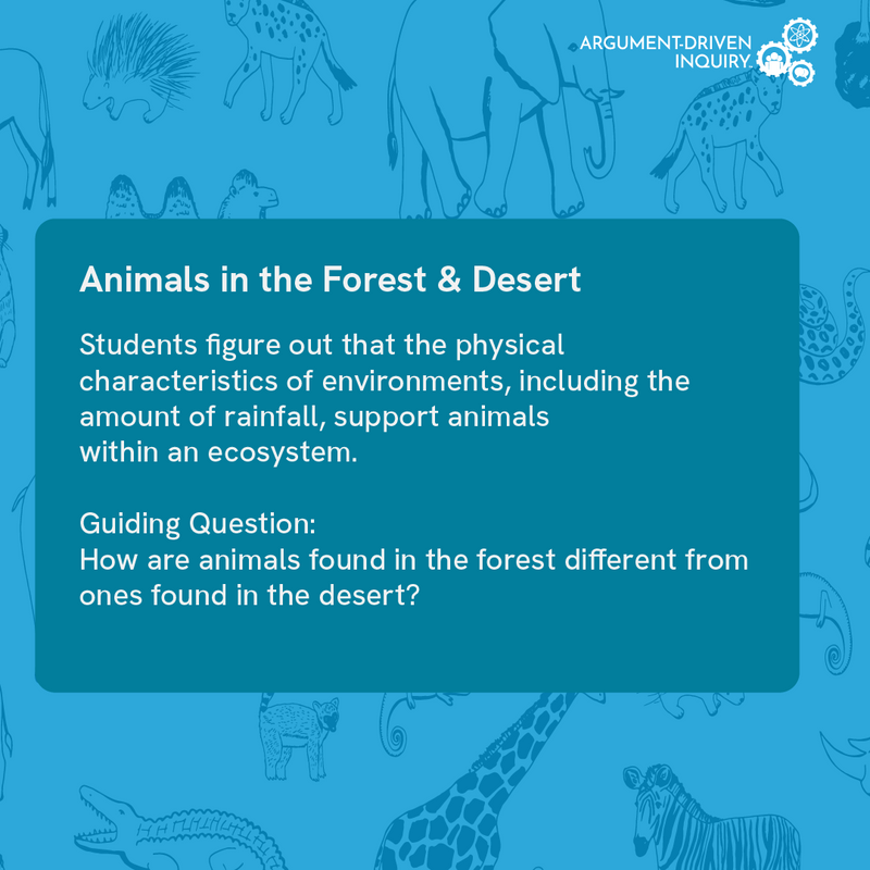 Animals in the Forest and Desert Investigation Kit