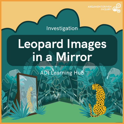 Leopard Images in a Mirror