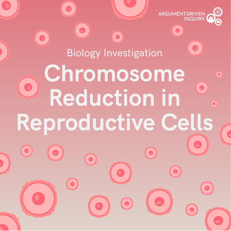 Chromosome Reduction in Reproductive Cells Investigation Kit