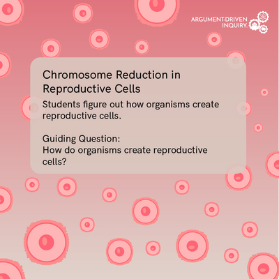 Chromosome Reduction in Reproductive Cells Investigation Kit