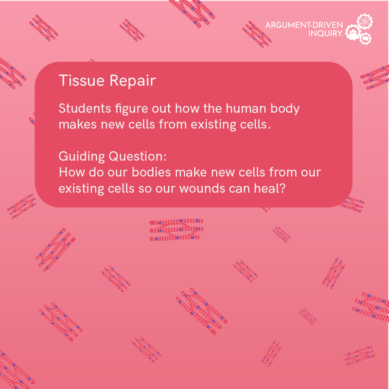 Tissue Repair Investigation Kit