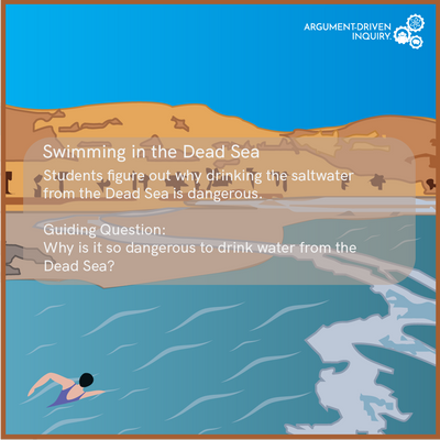 Swimming in the Dead Sea Investigation Kit