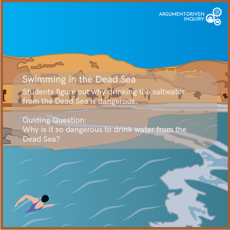 Swimming in the Dead Sea Investigation Kit