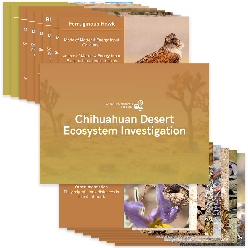 Chihuahuan Desert Ecosystem