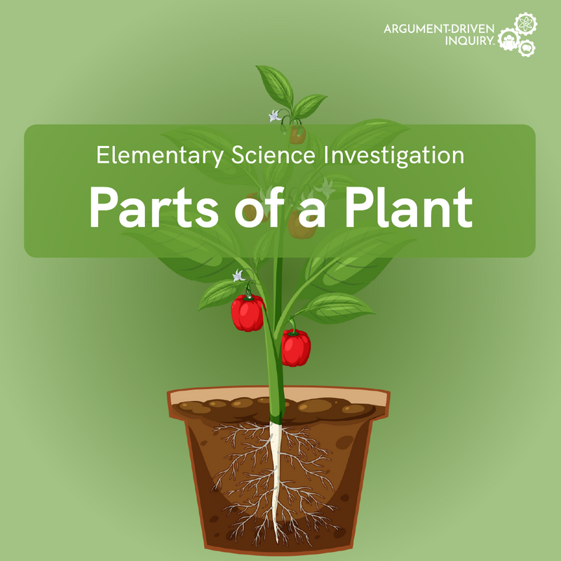 Parts of a Plant Investigation Kit