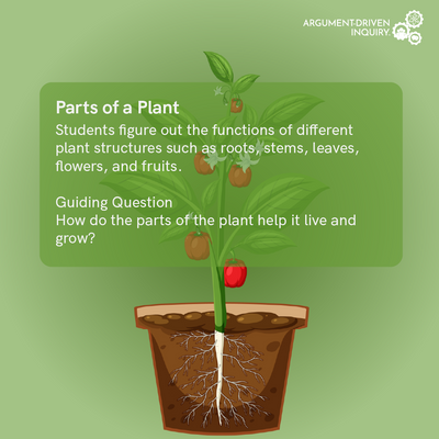 Parts of a Plant Investigation Kit