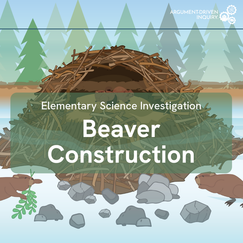 Beaver Construction Investigation Kit