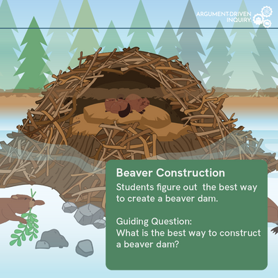Beaver Construction Investigation Kit