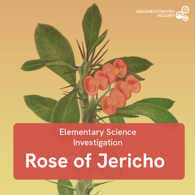 Book cover of 'Rose of Jericho' with plant illustration and text on a beige background