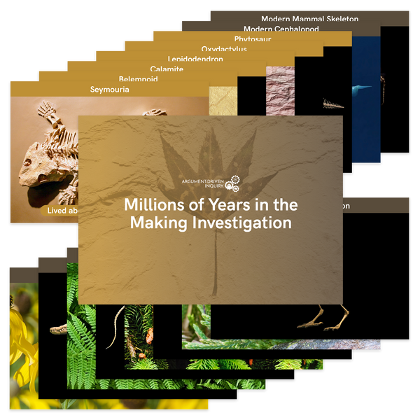 Millions of years in the Making - ADI Store