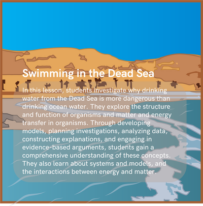 Swimming in the Dead Sea - ADI Store