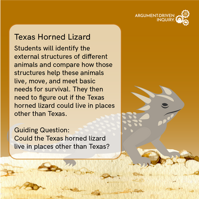 Texas Horned Lizard Investigation Kit