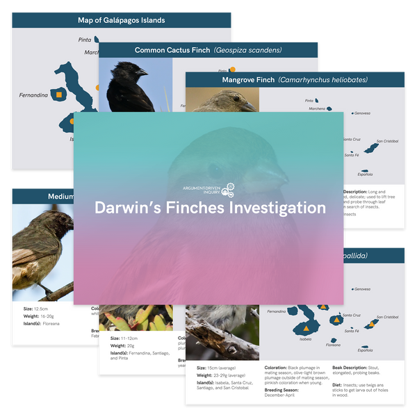 Educational infographic on darwin's finches displaying species photos, descriptions, and a map of the Galápagos islands.