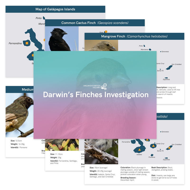 Darwin's Finches | ADI Store